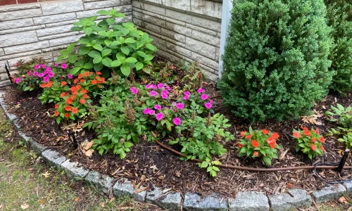 994E6752-F7BB-4D55-9AE0-A84E371B1951