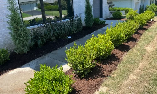 9DBB38A8-1914-4BB0-B65E-825BDCD459FC