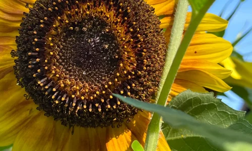 B0BD37F4-F0D2-453B-816B-04AF5BF52EFE