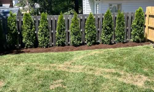 BB7031D9-7034-4310-8555-7D1B6934497A